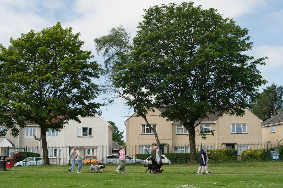 seniors group activity